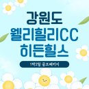 웰리힐리CC 페어웨이빌라(히든힐스) | 국내골프패키지 1박2일 강원도 횡성 웰리힐리cc 히든힐스