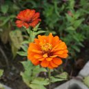 나무골마을 이미지