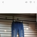 댕댕이,봄 이미지