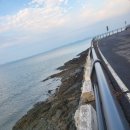 님 바래기 이미지