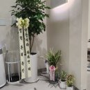 수원-0029 | [수원 인계동]새로오픈한 여자커트잘하는 곳 "비케쳐블" 단발커트후기