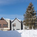 세운버스 | 홋카이도 삿포로 비에이 버스투어 여행코스 후기