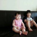 태양당한의원 네이버블로그