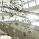 ㈜하나항공여행사 이미지