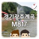 캠프M817