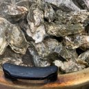 간월도캠핑장 이미지