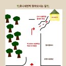 효니네 민박 이미지