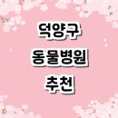 내곡동439 | 고양 덕양구 동물병원 추천 잘하는곳 24시 후기 야간진료 주말 가격 비용