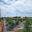 요한농장 이미지