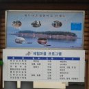 계도어촌체험마을 이미지