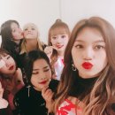 위미 이미지