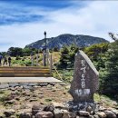 ▣ 한라산등반 &amp; 제주올레 알짜길 가이드안내+매주:화*금출발 이미지
