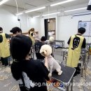 바닐라애견미용학원 이미지