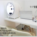 디아뜨 2 네이버블로그