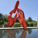 원주곤충마을박물관 이미지