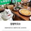 장평막국수 | [강원 평창] 휘닉스파크 근처 애견동반 식당 30년 전통 현지인 맛집, 장평 막국수(감자전 추천)