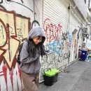 비둘기모사 이미지