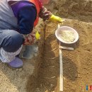 종삼농장 이미지