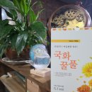 구인당약국 이미지