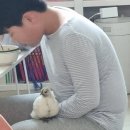 현모농장 이미지