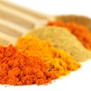 진도경희의원 이미지