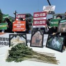 낙타와돌고래 이미지