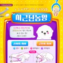 자주고름 이미지