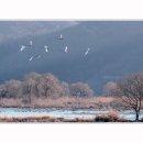 화룡점정 이미지