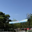 정관7로 이미지