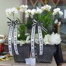 우곡초등학교 이미지