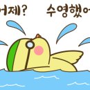 케이 프리다이빙펜션 이미지