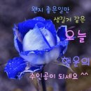 12월19일(수) 신문을 통해 알게된 이야기들 이미지