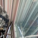 이안1길 이미지