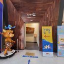 청도군-7 | 아이랑 청도소싸움미디어체험관 그리고 소싸움관람 후기