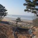 국립무의도자연휴양림 이미지