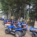 청포대숲속야영장 이미지