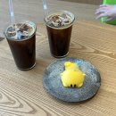 대전 빵지순례 : 꿈돌이 케이크가 있는 디저트 맛집 파티세리소신 대흥점