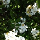 은진면사무소 이미지