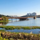 은파호수공원 이미지