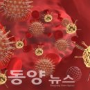 포시즌유황사우나 이미지