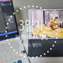 SHARP PC CAFE | 콜로소 챌린지 3일차, 콜로소 3D 캐릭터 모델링 강의 후기