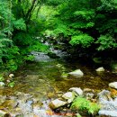 백천계곡 이미지