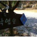 청량산나무네숲캠핑장 이미지
