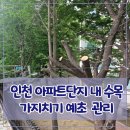 박촌 아주아파트 | 인천 아파트단지내 수목 가지치기 예초 관리