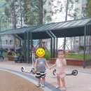 규리미네