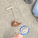 경기도어린이박물관 이미지