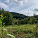 중광농장 이미지