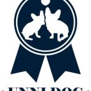 언니도그 이미지