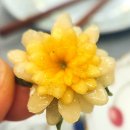 (온라인)건강한 밥상 | 동네한바퀴 공주 27첩 자연치유밥상 식당 위치 예약 연락처 누비장인 이귀숙갤러리
