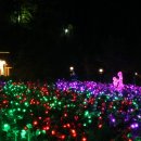 허브아일랜드 불빛동화축제 - 라이팅&일루미네이션 이미지